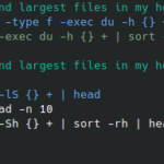 Shell-AI usage example